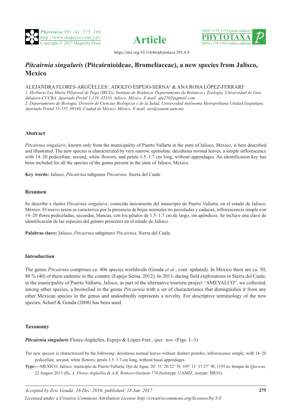 Pitcairnia Singularis (Pitcairnioideae, Bromeliaceae), a New Species from Jalisco, Mexico