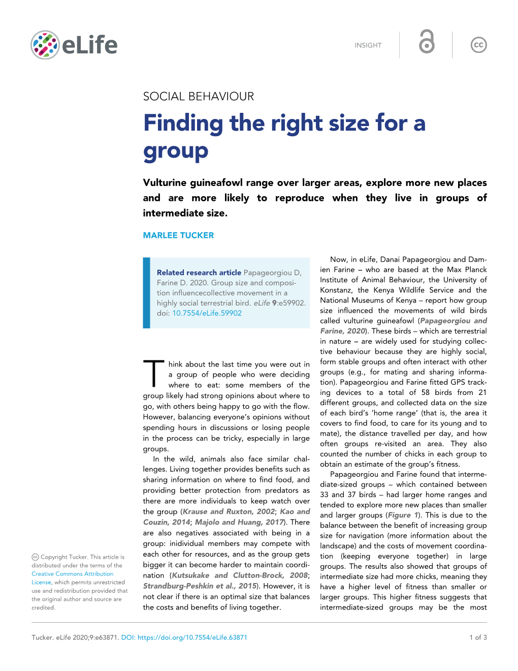 Finding the Right Size for a Group
