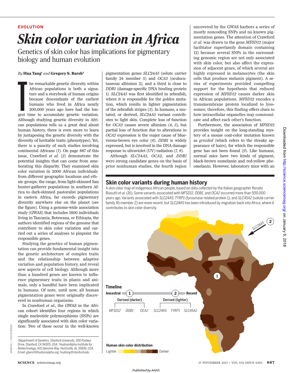 Skin Color Variation in Africa Et Al