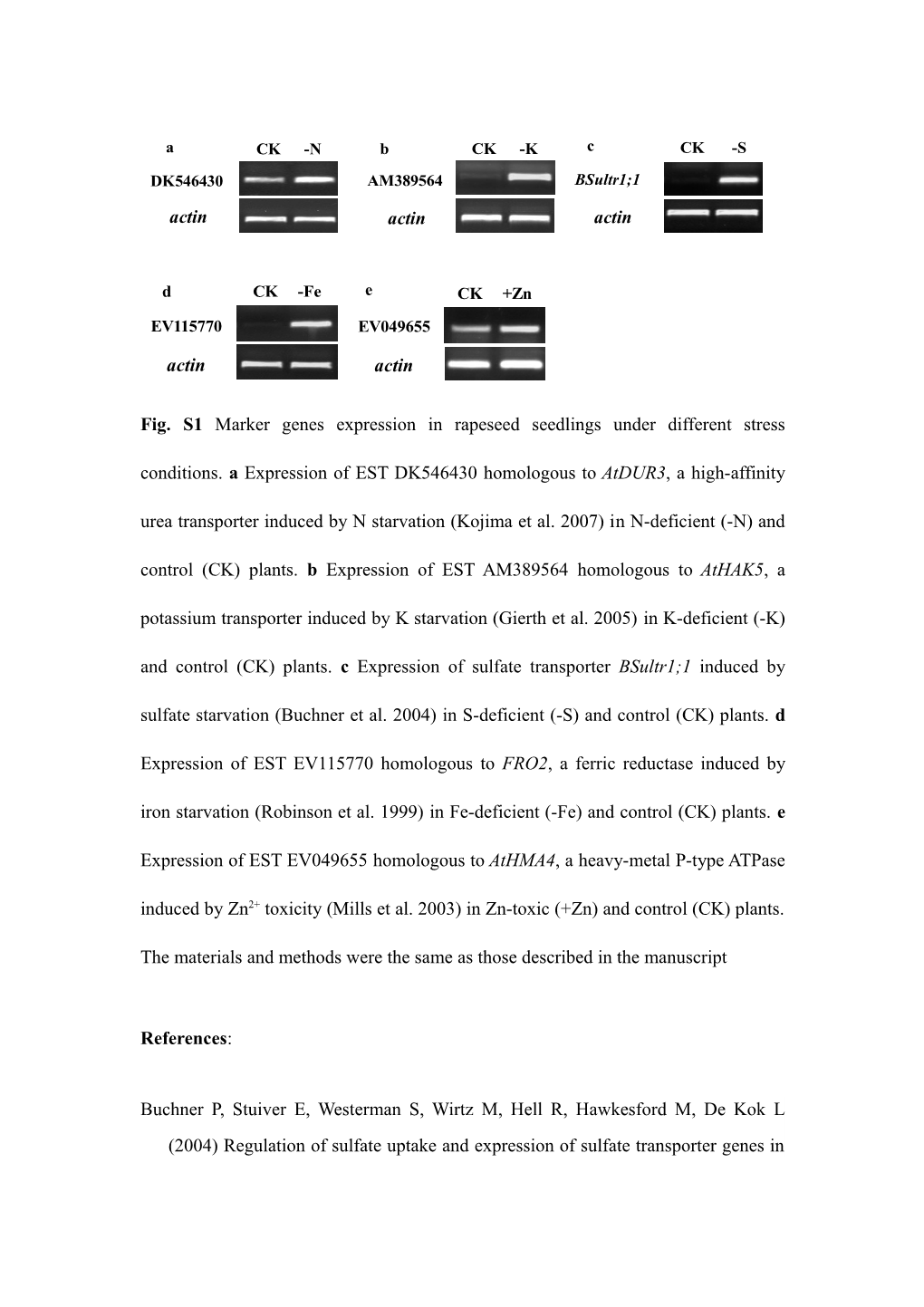 Buchner P, Stuiver E, Westerman S, Wirtz M, Hell R, Hawkesford M, De Kok L (2004) Regulation