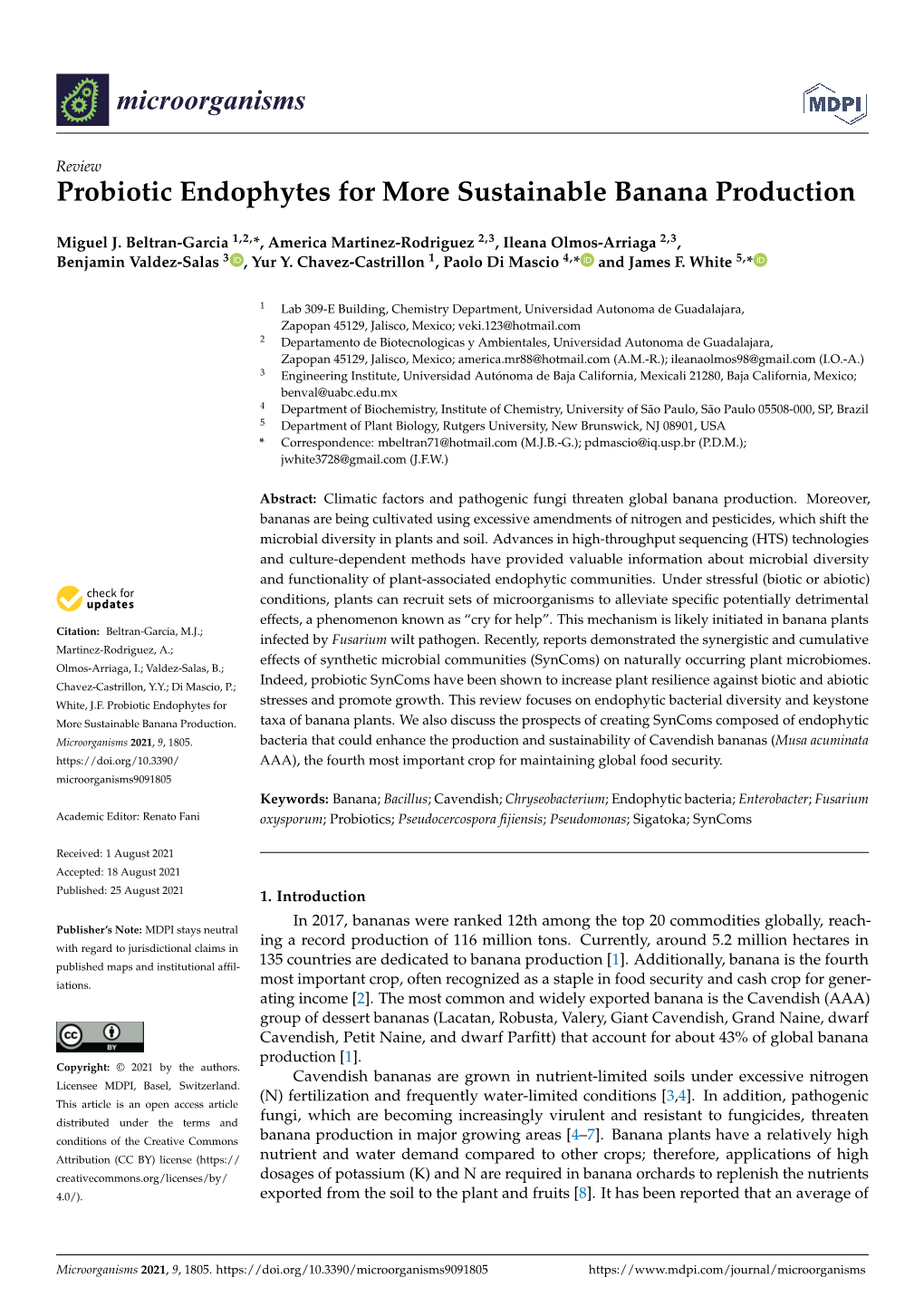 Probiotic Endophytes for More Sustainable Banana Production