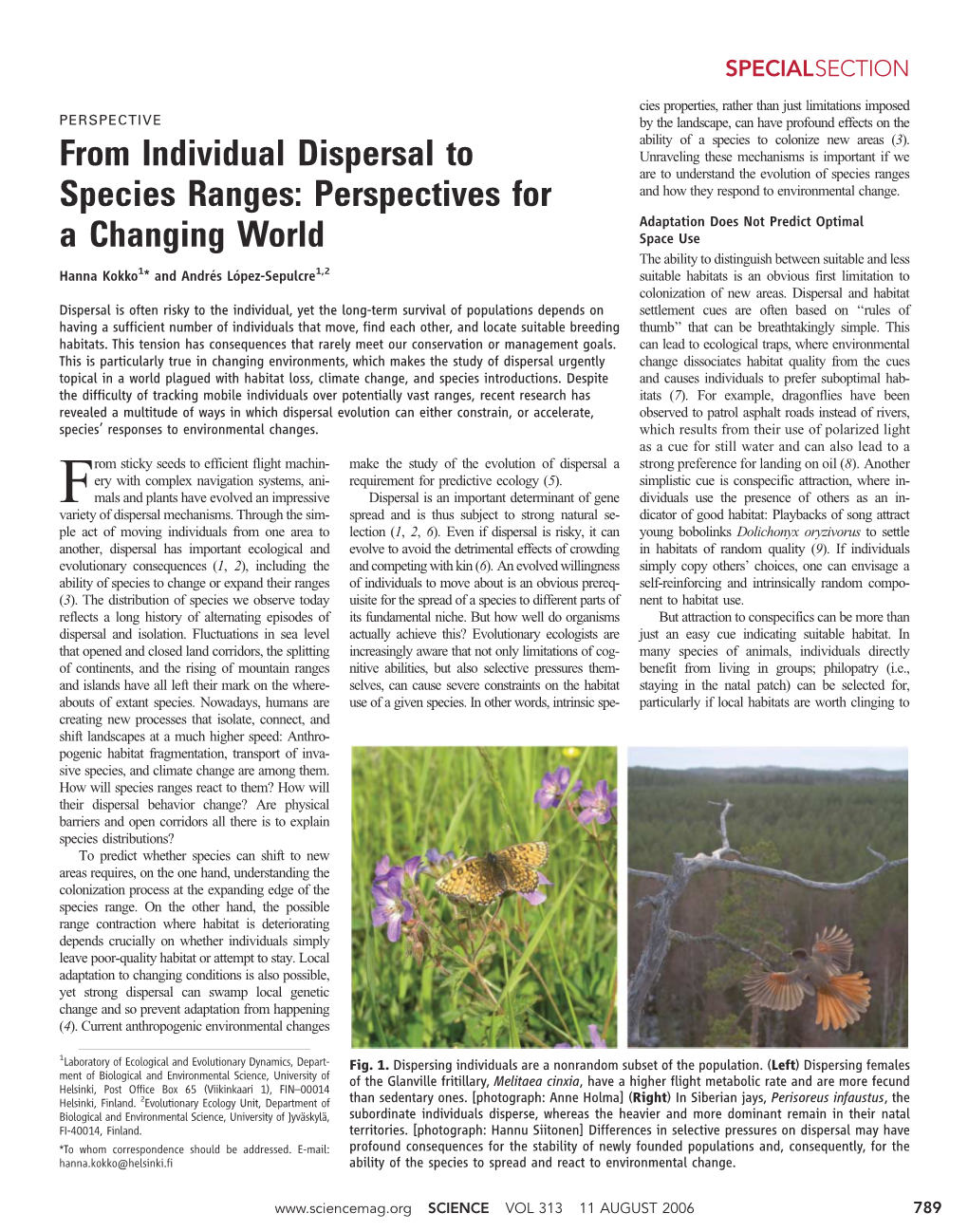 From Individual Dispersal to Species Ranges: Perspectives for A