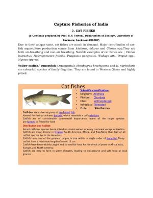 CAT FISHES (E-Contents Prepared by Prof