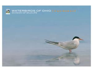 Water Birds of Ohio