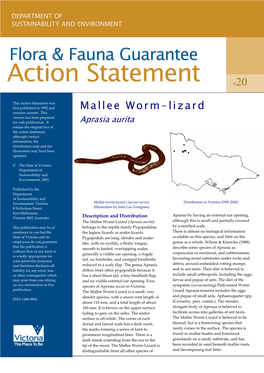 Mallee Worm-Lizard Version Has Been Prepared for Web Publication