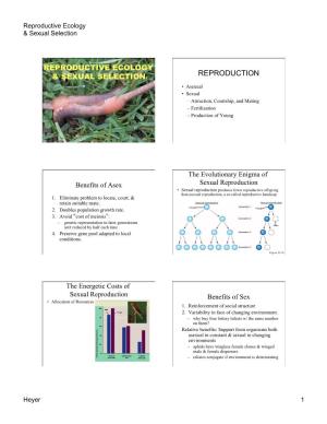 Reproductive Ecology & Sexual Selection
