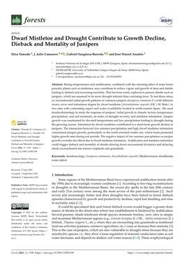 Dwarf Mistletoe and Drought Contribute to Growth Decline, Dieback and Mortality of Junipers