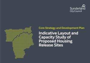 Indicative Layout and Capacity Study of Proposed Housing Release Sites HRS1: North of Mount Lane, Springwell Village