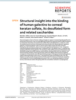 Structural Insight Into the Binding of Human Galectins to Corneal Keratan Sulfate, Its Desulfated Form and Related Saccharides Michelle C
