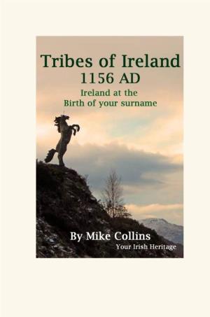 The Tribes of Ireland: 1156 Ireland at the Birth of Your Surname