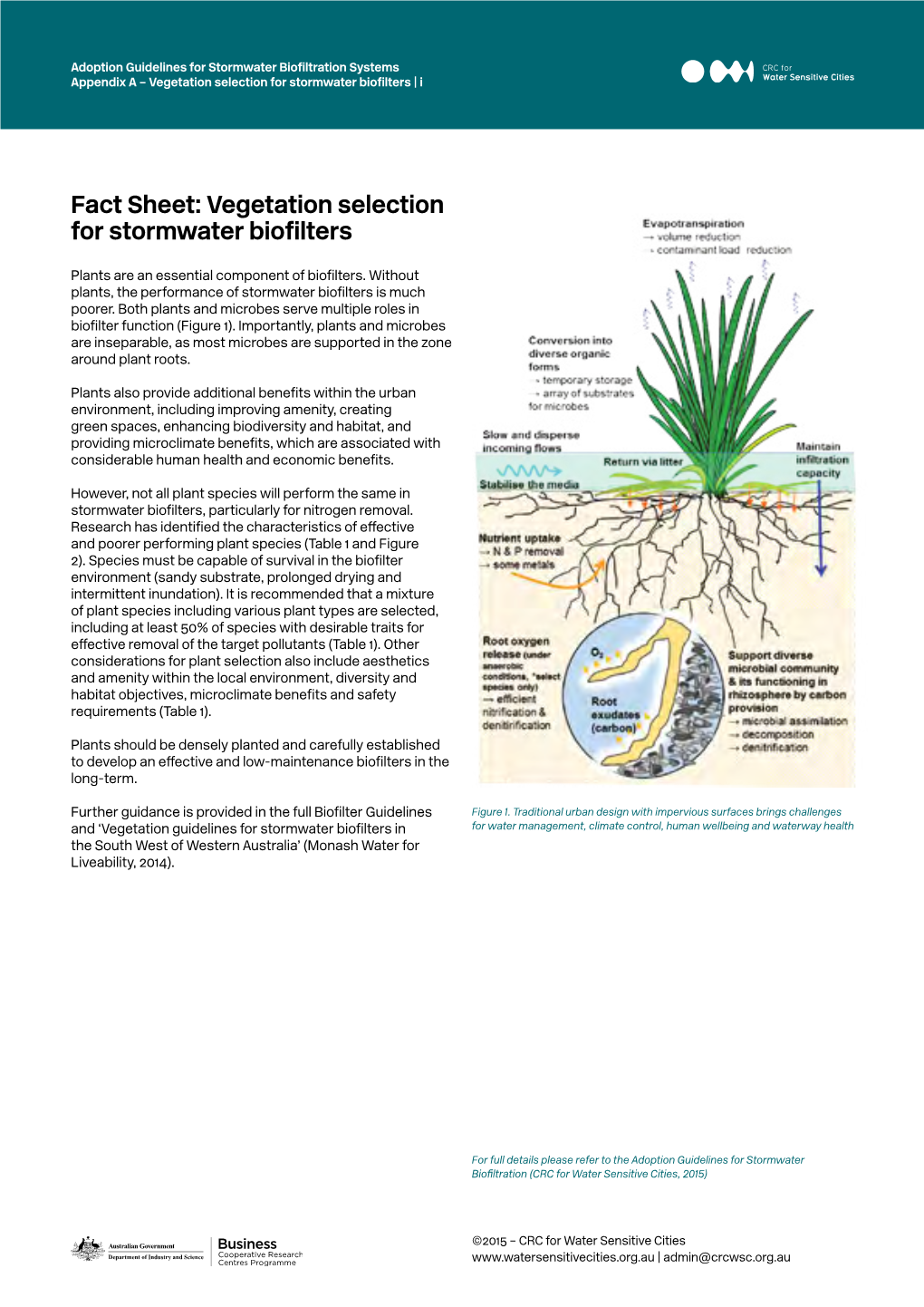 Fact Sheet: Vegetation Selection for Stormwater Biofilters Download