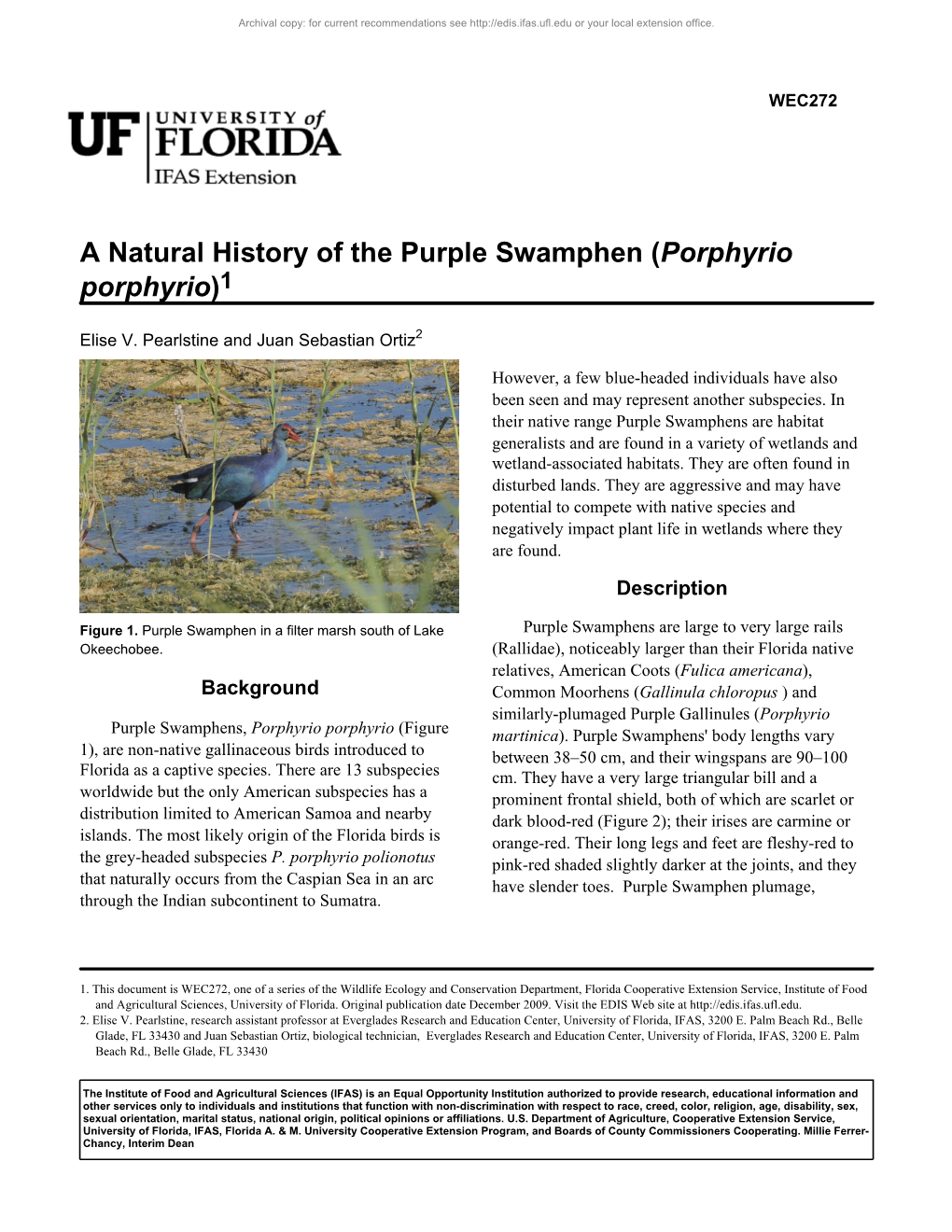 A Natural History of the Purple Swamphen (Porphyrio Porphyrio)1