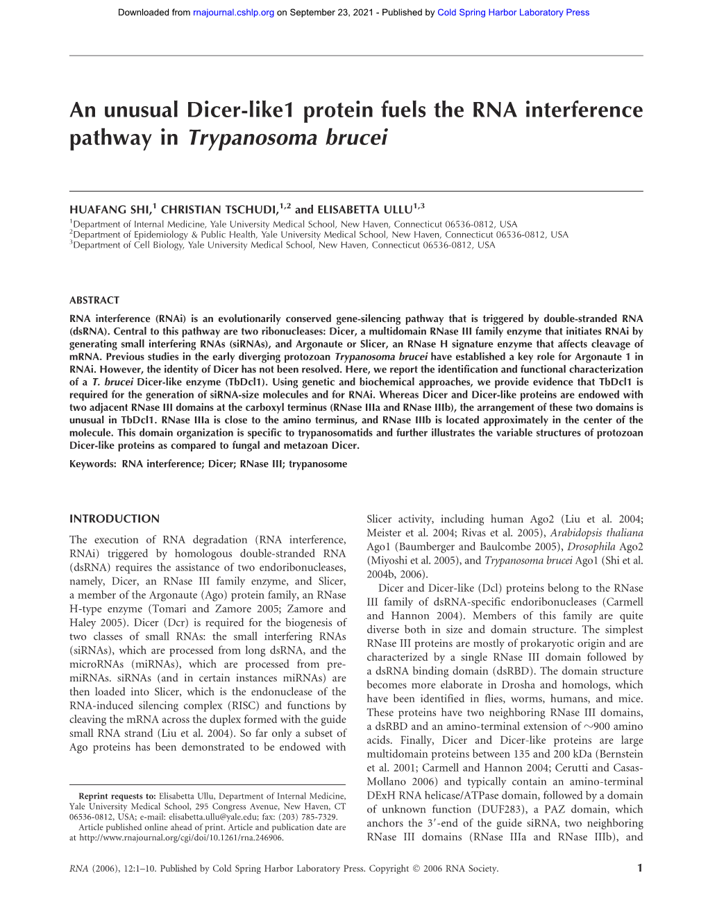 An Unusual Dicer-Like1 Protein Fuels the RNA Interference Pathway in Trypanosoma Brucei