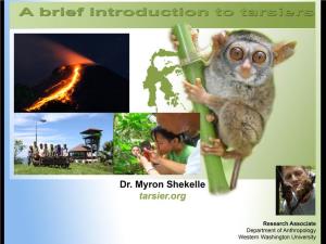 Dr. Myron Shekelle