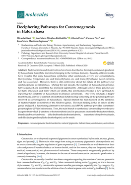 Deciphering Pathways for Carotenogenesis in Haloarchaea