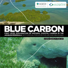 First Level Exploration of Natural Coastal Carbon in the Arabian Peninsula(With Special Focus on the Uae and Abu Dhabi)