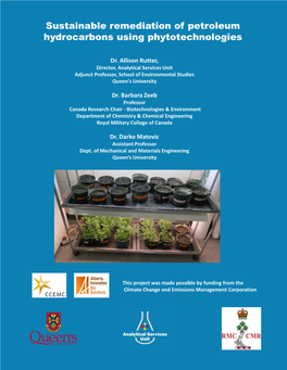 Sustainable Remediation of Petroleum Hydrocarbons Using Phytotechnologies