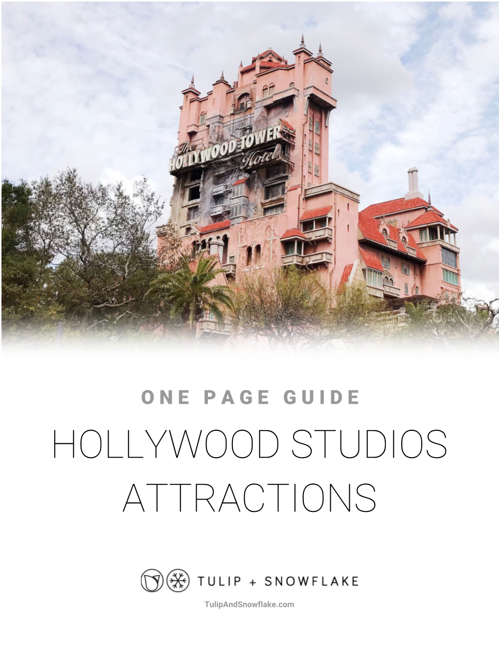 Hollywood Studios Attractions