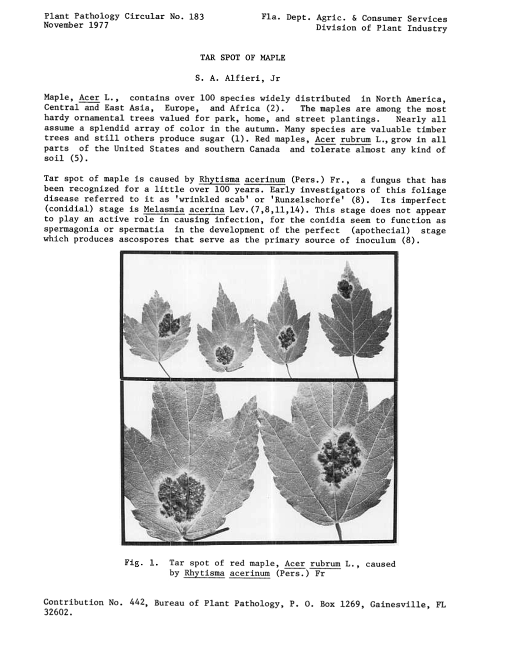 Plant Pathology Circular N0.183 November 1977