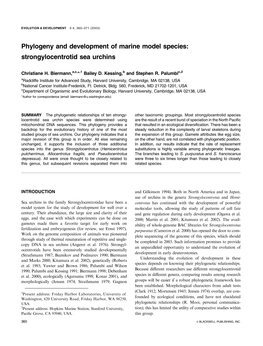 Strongylocentrotid Sea Urchins