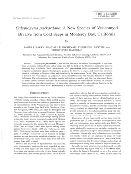 Calyptogena Packardana, a New Species of Vesicomyid Bivalve from Cold Seeps in Monterey Bay, California By