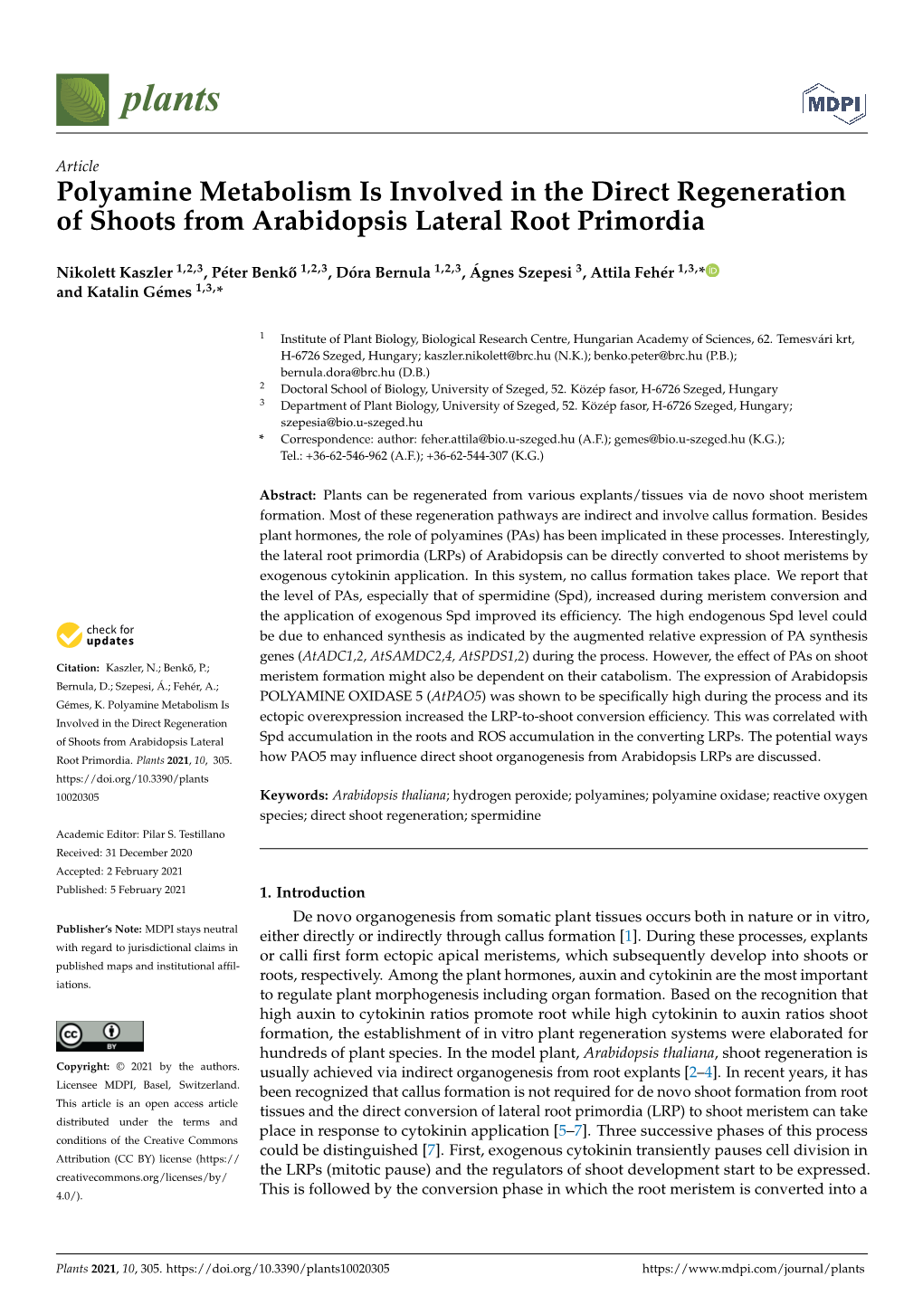 Polyamine Metabolism Is Involved in the Direct Regeneration of Shoots from Arabidopsis Lateral Root Primordia