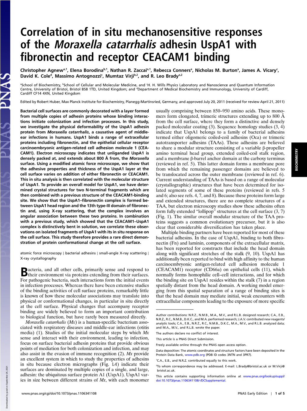 Of the Moraxella Catarrhalis Adhesin Uspa1 with Fibronectin and Receptor CEACAM1 Binding
