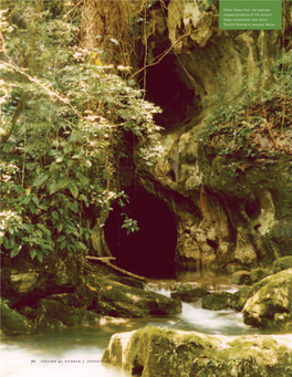 Sacred Caves in Mesoamerica in Caves Sacred for Studying Pre-Columbianfor Studying Religion