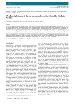 DNA-Based Phylogeny of the Marine Genus Heterodrilus (Annelida, Clitellata, Naididae)