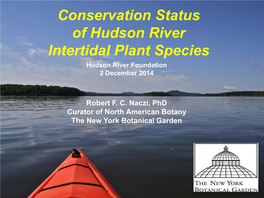 Conservation Status of Hudson River Intertidal Plant Species Hudson River Foundation 2 December 2014