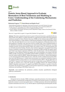 Protein Array-Based Approach to Evaluate Biomarkers of Beef Tenderness and Marbling in Cows: Understanding of the Underlying Mechanisms and Prediction