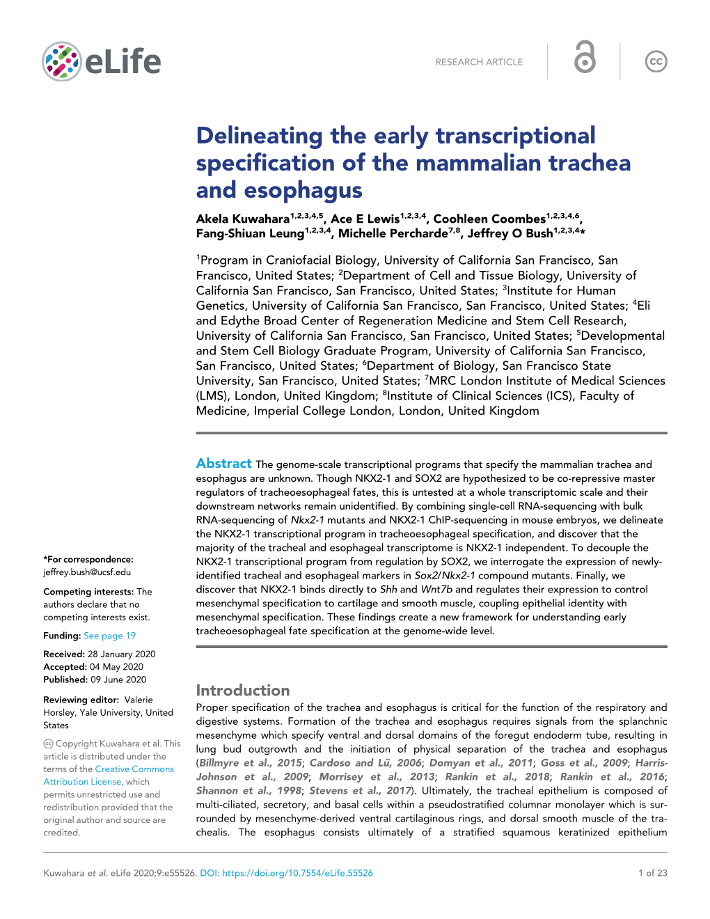 Delineating the Early Transcriptional Specification of the Mammalian