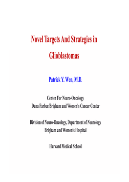 Novel Targets and Strategies in Glioblastomas