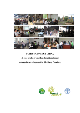 A Case Study of Small and Medium Forest Enterprise Development in Zhejiang Province