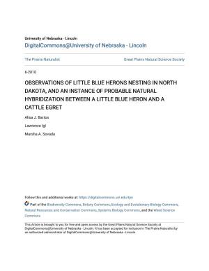 Observations of Little Blue Herons Nesting in North Dakota, and an Instance of Probable Natural Hybridization Between a Little Blue Heron and a Cattle Egret
