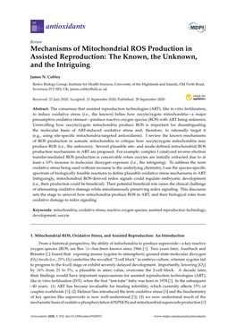 Mechanisms of Mitochondrial ROS Production in Assisted Reproduction: the Known, the Unknown, and the Intriguing