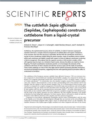 (Sepiidae, Cephalopoda) Constructs Cuttlebone from a Liquid-Crystal Received: 13 February 2015 Accepted: 28 May 2015 Precursor Published: 18 June 2015 Antonio G