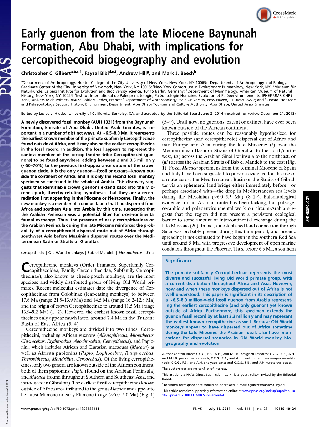 Early Guenon from the Late Miocene Baynunah Formation, Abu Dhabi, with Implications for Cercopithecoid Biogeography and Evolution