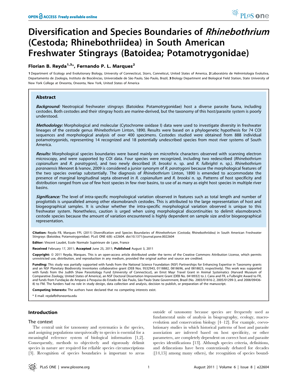 In South American Freshwater Stingrays (Batoidea; Potamotrygonidae)