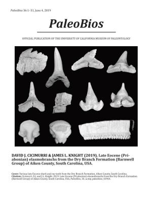 Late Eocene (Pri- Abonian) Elasmobranchs from the Dry Branch Formation (Barnwell Group) of Aiken County, South Carolina, USA