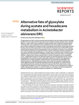 Alternative Fate of Glyoxylate During Acetate and Hexadecane