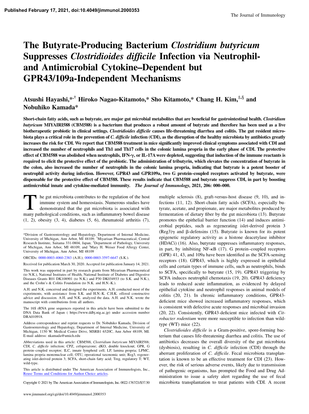 The Butyrate-Producing Bacterium