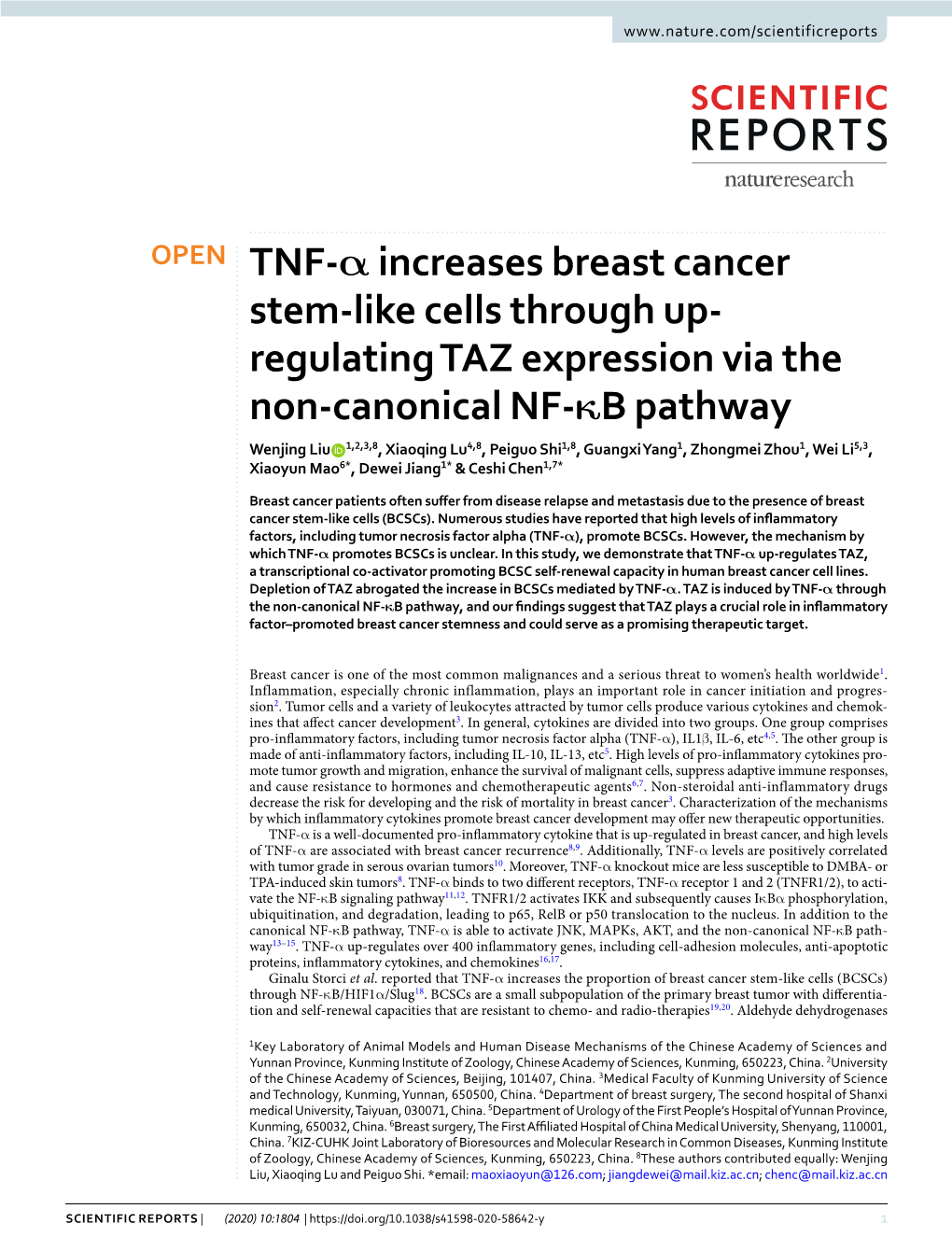 TNF-Α Increases Breast Cancer Stem-Like Cells Through Up