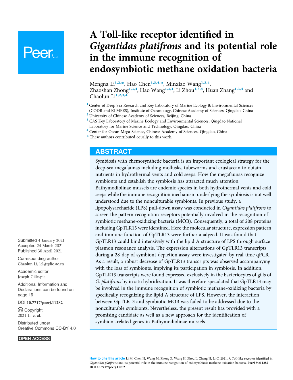 A Toll-Like Receptor Identified in Gigantidas Platifrons and Its