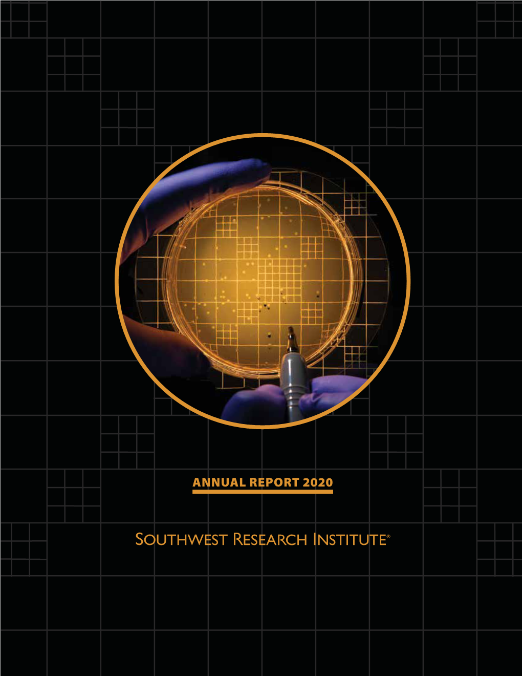 2020 Southwest Research Institute Annual Report