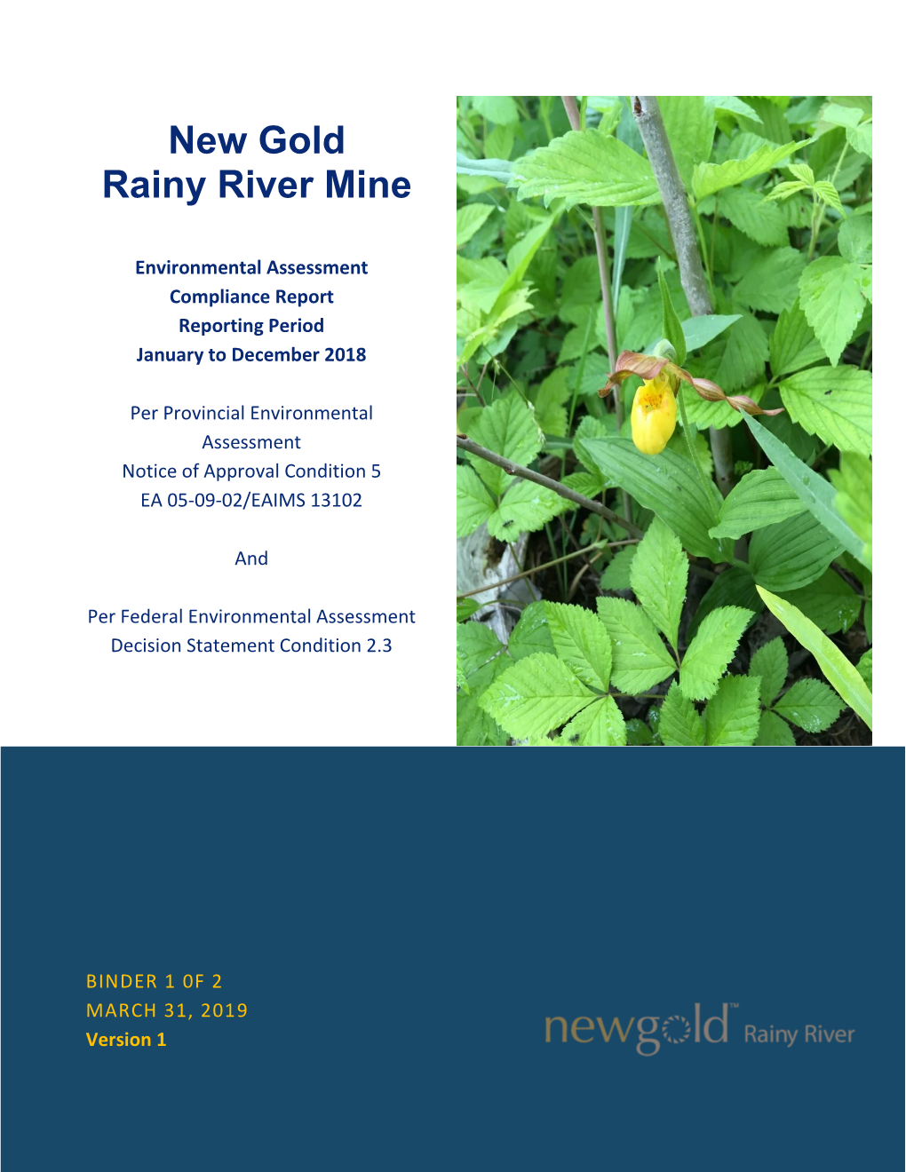 New Gold Rainy River Mine