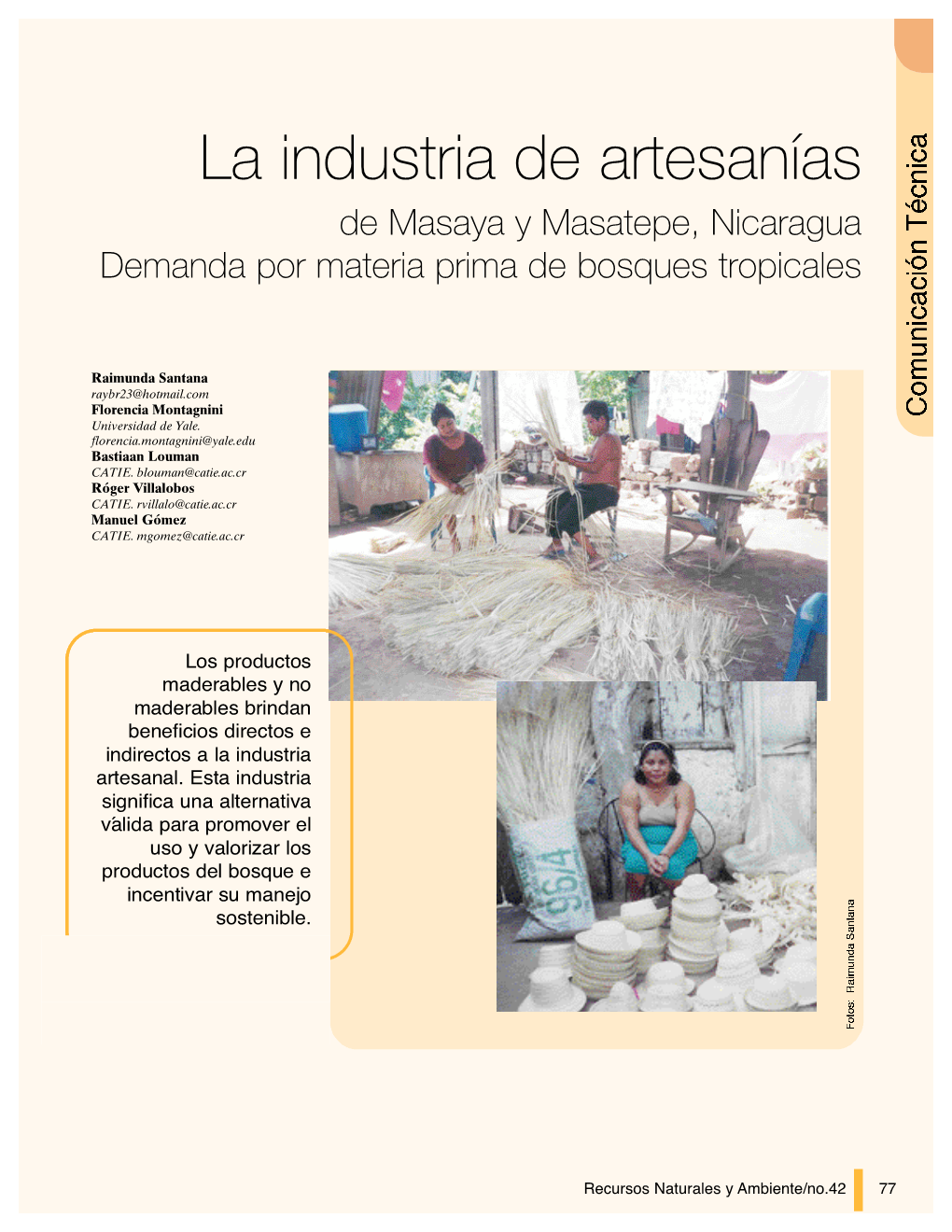 La Industria De Artesanías De Masaya Y Masatepe, Nicaragua Demanda Por Materia Prima De Bosques Tropicales