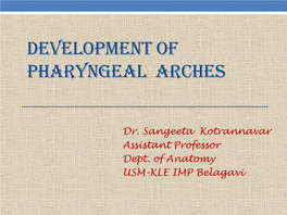 Development of Pharyngeal Arches