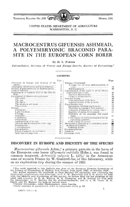 Macrocentrus Gifuensis Ashmead, a Polyembryonic Braconid Para- Site in the European Corn Borer