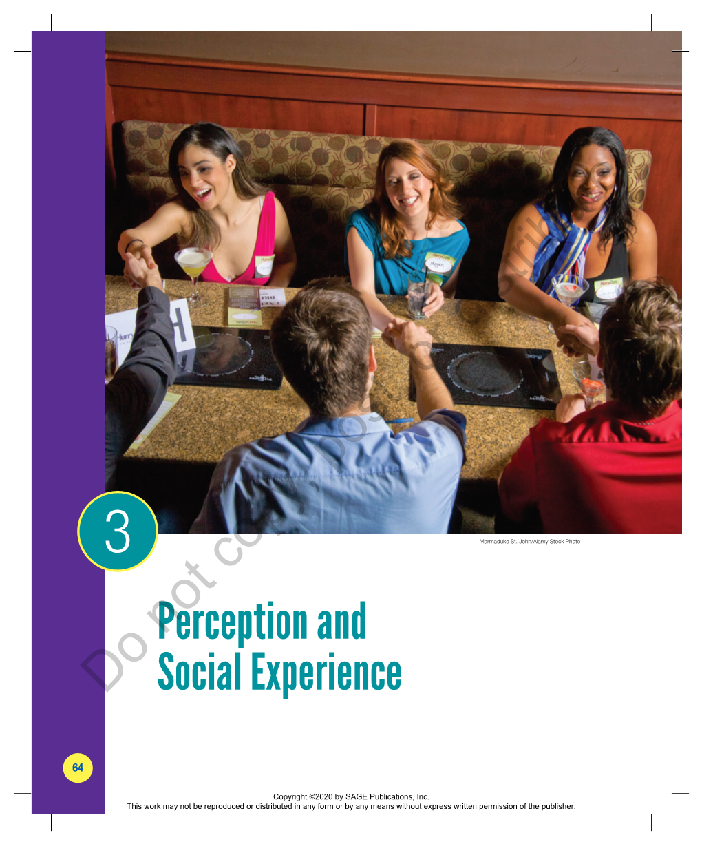 Chapter 3. Perception and Social Experience